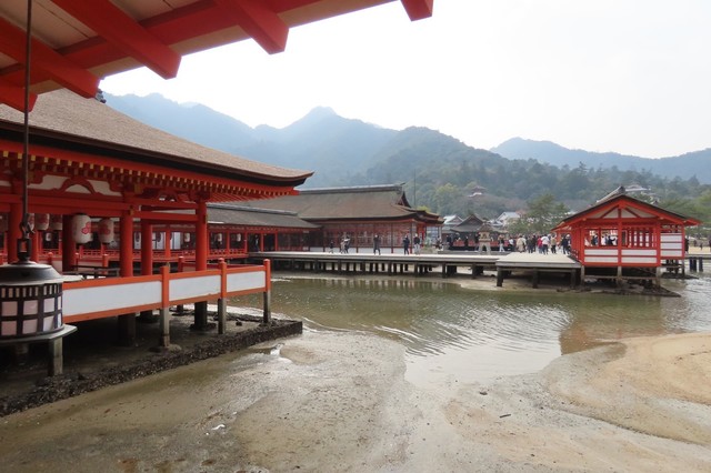 Miyajima 20230106 18.JPG